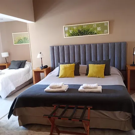 De Los Andes Hotel Boutique-3